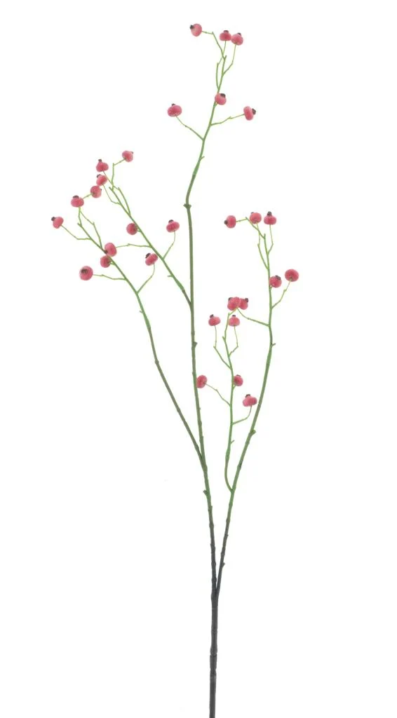 Rose hip spray red 100cm