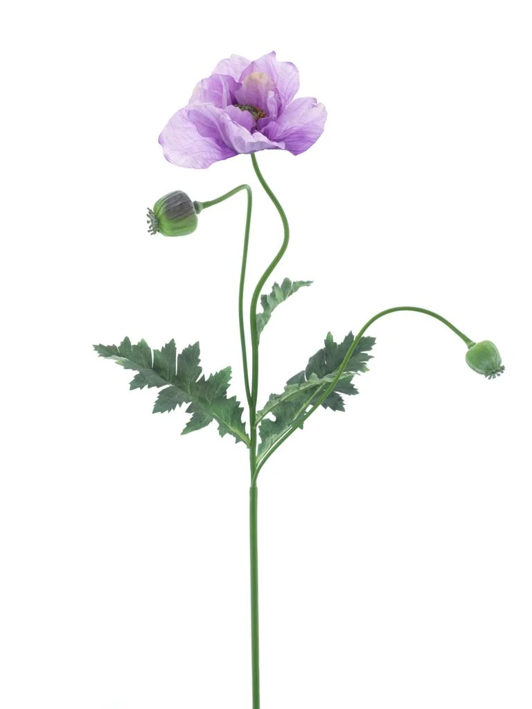 Poppy spray Casper lavender 93cm