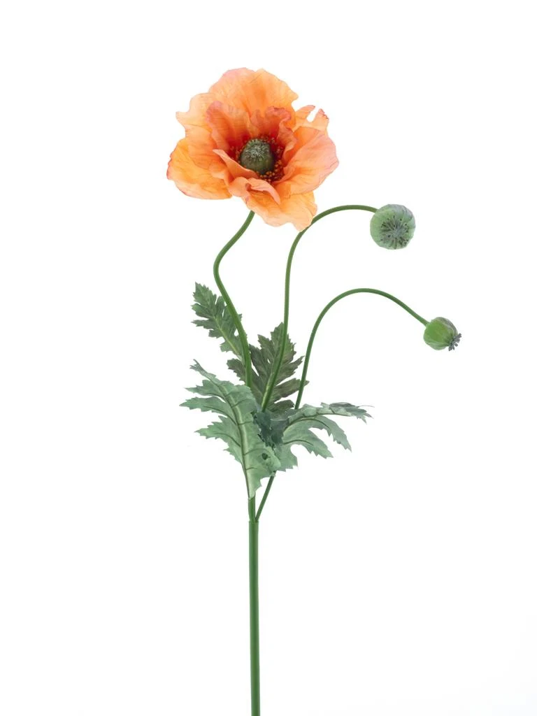 Poppy spray Casper orange 93cm