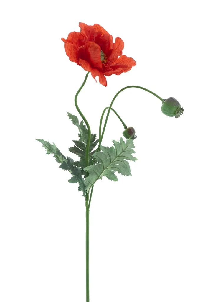Poppy spray Casper red 93cm