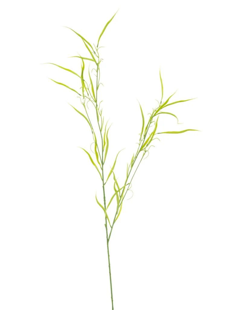 Grass spray fresh green 106cm
