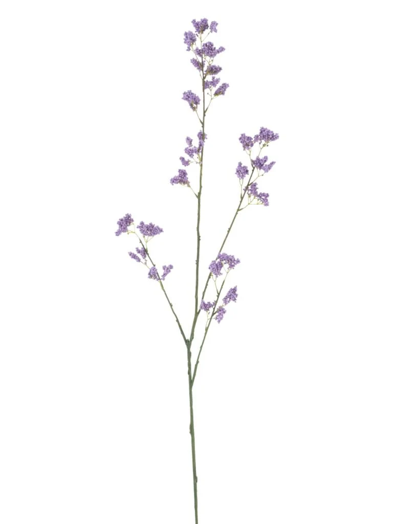 Achillea spray purple 110cm