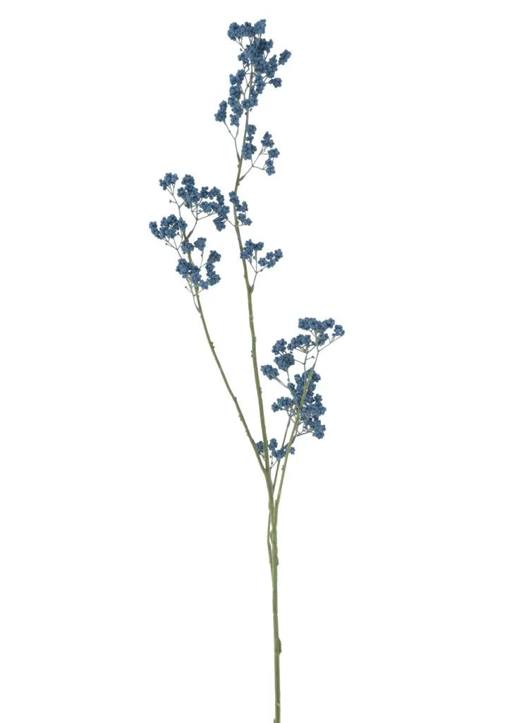 Achillea spray blue 110cm