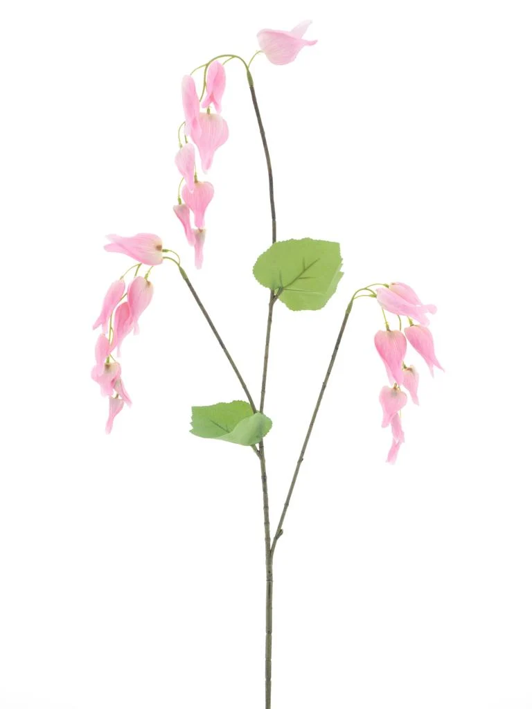 Dicentra spray pink 96cm