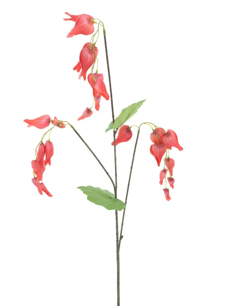 Dicentra spray red 96cm