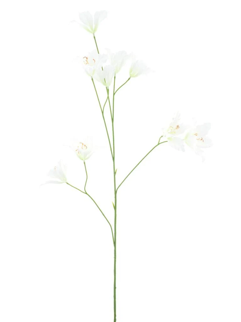 Wild lily spray cream 86cm