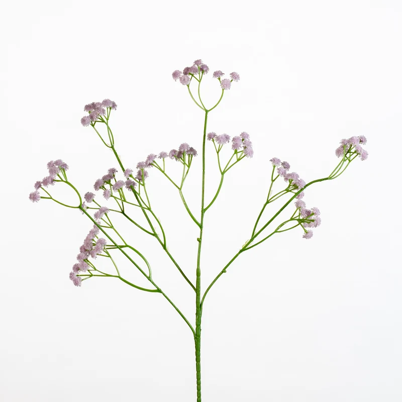 Gypsophila spray L62cm l.lilac