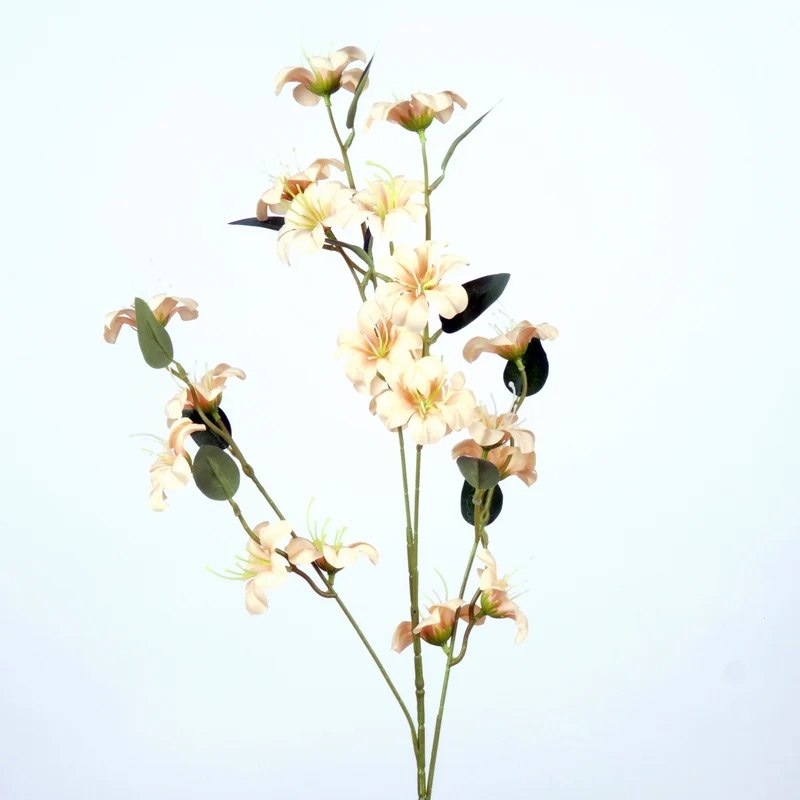 Blossom Meadow L87cm cream