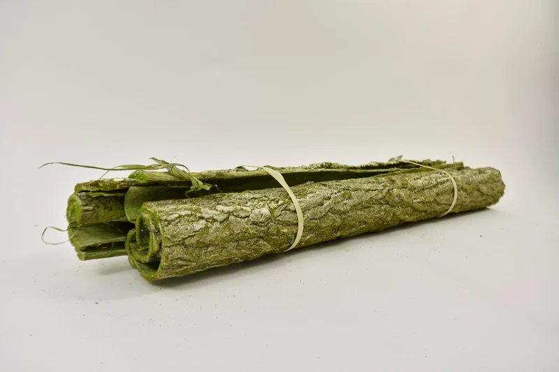 POPLAR BARK BUNDLE 80*12 CM GREEN FROST