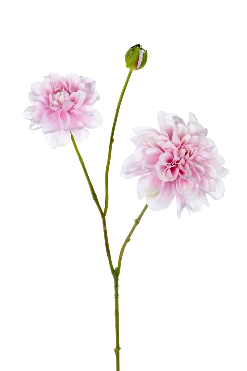 Dahlia l80cm roze