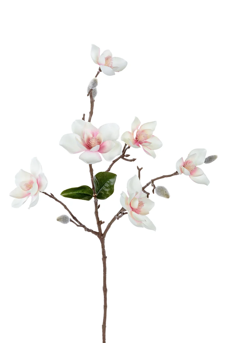 Magnolia l63cm creme/roze