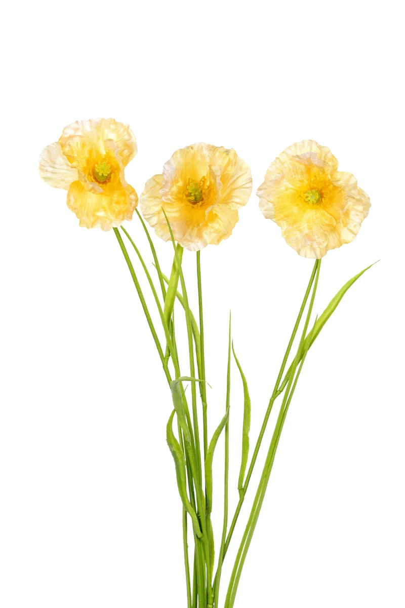 Papaver/gras l70cm geel