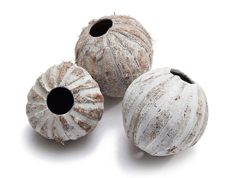 Coconut striped frost. White ±10cm - 5 stuks