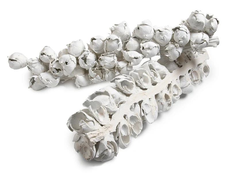 Cacho Coco (half) frost. white 60-70cm