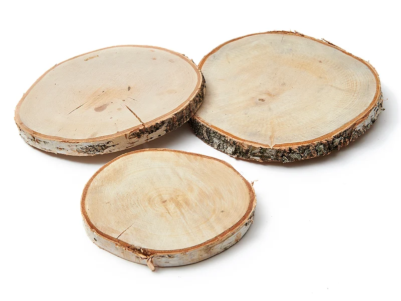 Net a 24 Berkenschijf 20cm naturel