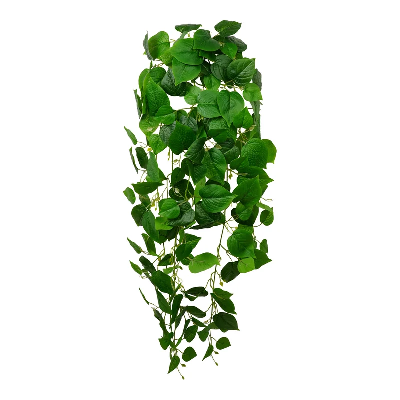Hanger Pothos 120cm groen