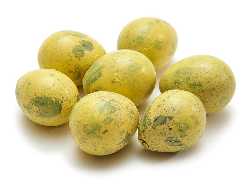 Kwarteleieren zonneschijn geel 60pcs