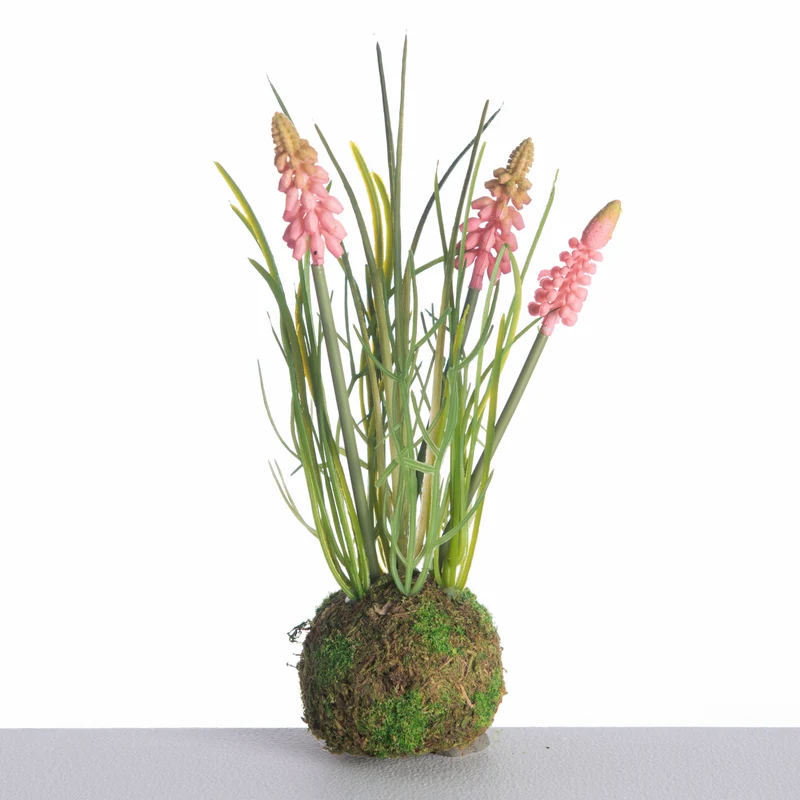 Muscari x3 on Mossball L24cm Pink