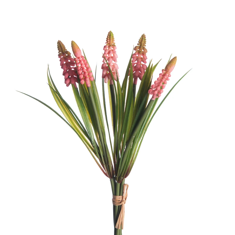 Muscari Bundle x5 L28cm Pink