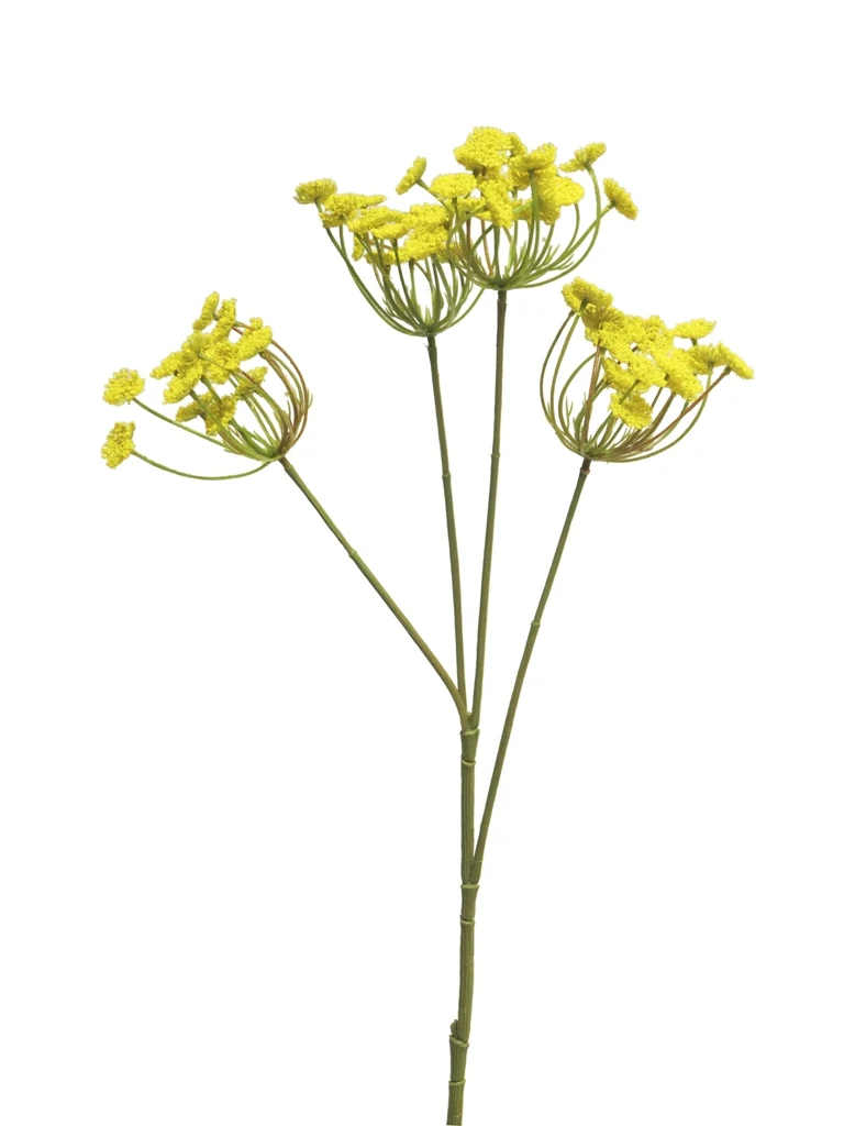 Anethum spray yellow 68cm