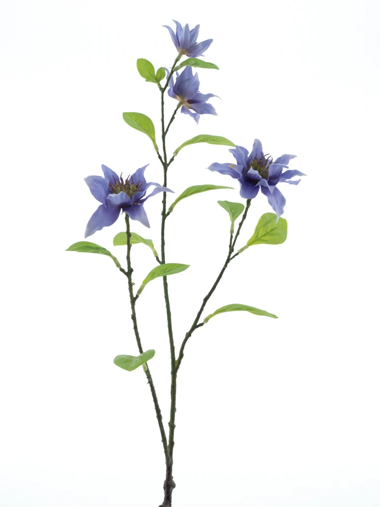 Jewel clematis spray lavender 75cm