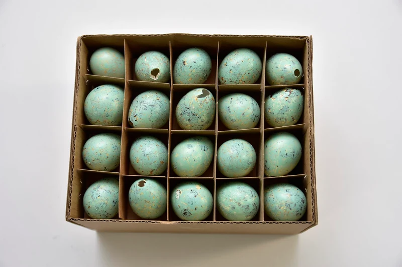 Doos á 60 kwarteleieren Turquoise