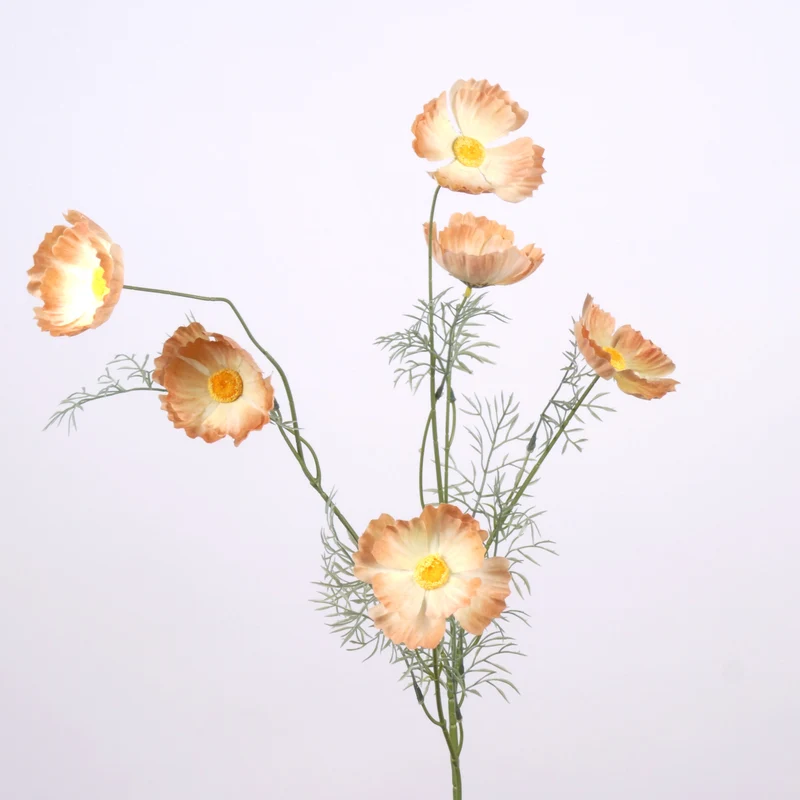 Papaver spray x6 L101cm peach