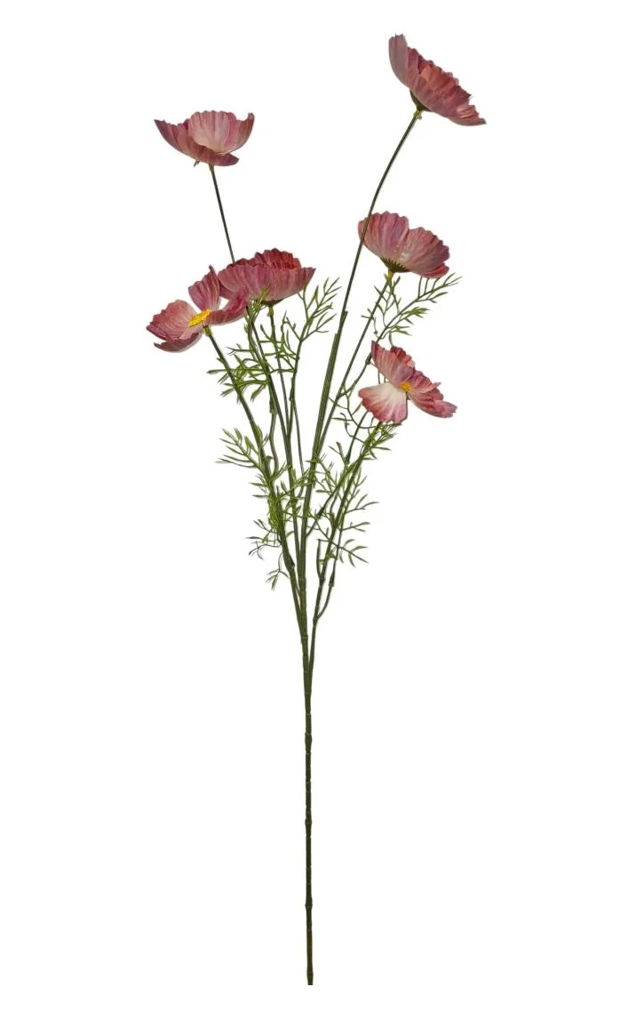 Papaver spray x6 L101cm d.pink