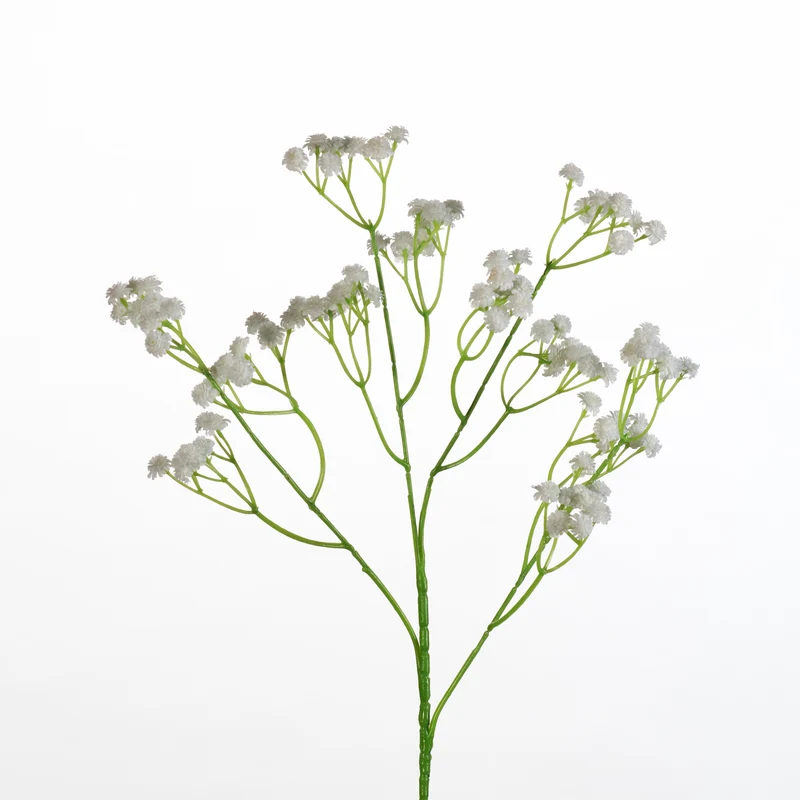 Gypsophila spray L62cm white