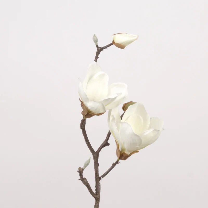 Magnolia L41cm white