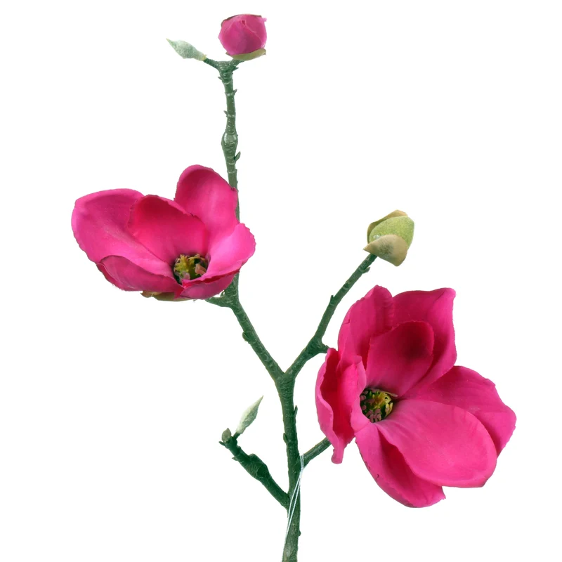 Magnolia L41cm fuchsia