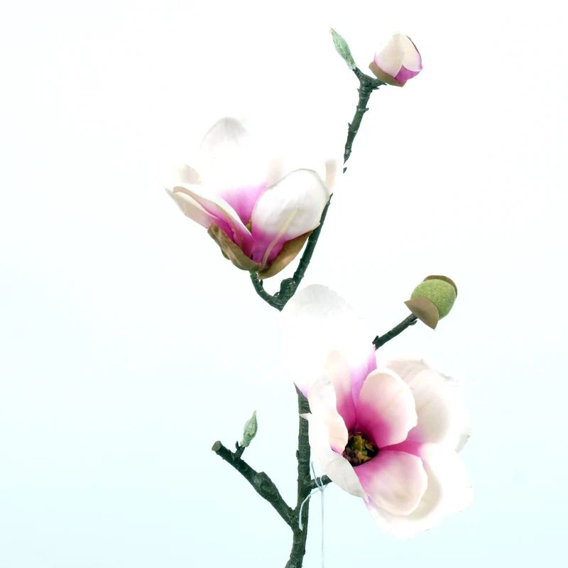 Magnolia L41cm pink