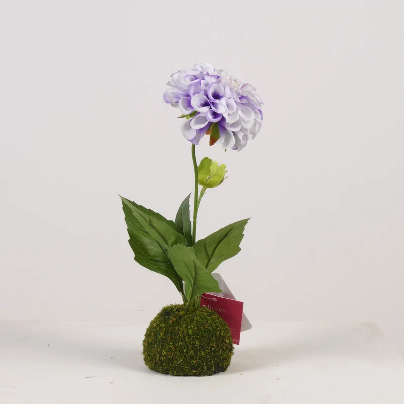 Dahlia x2 on Moss Ball H27cm White/Purple
