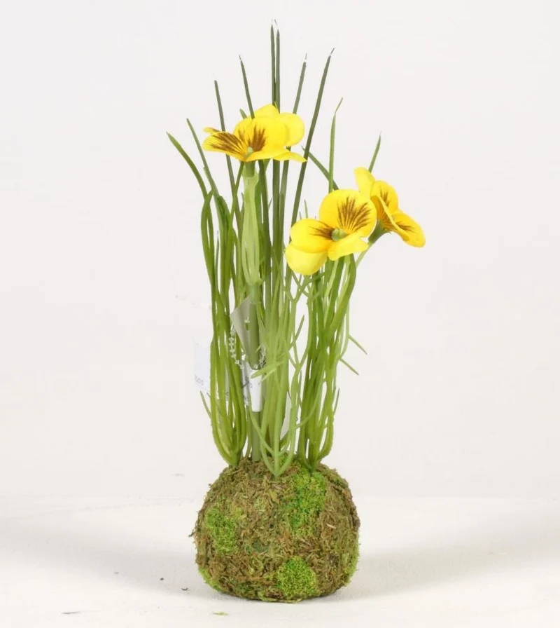 Viola on mossball H24cm yellow