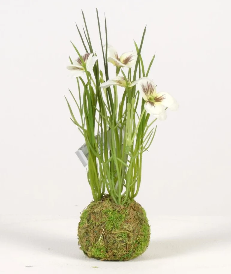 Viola on mossball H24cm white