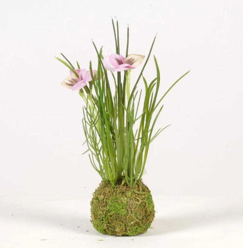 Viola on mossball H24cm pink