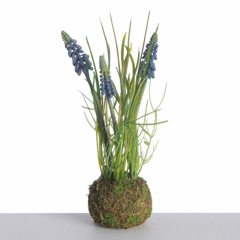 Muscari x3 on mossball L24cm blue
