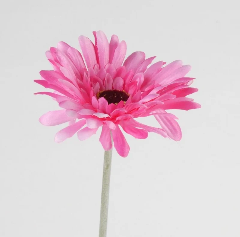 Gerbera L58cm Beauty
