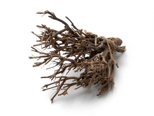 John branch ±35cm natural 500g