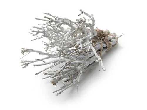 John branch ±35cm frosted white 500g