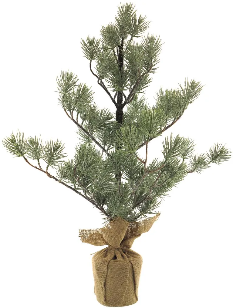 Pinus tree in jute bag green w/iced 72cm