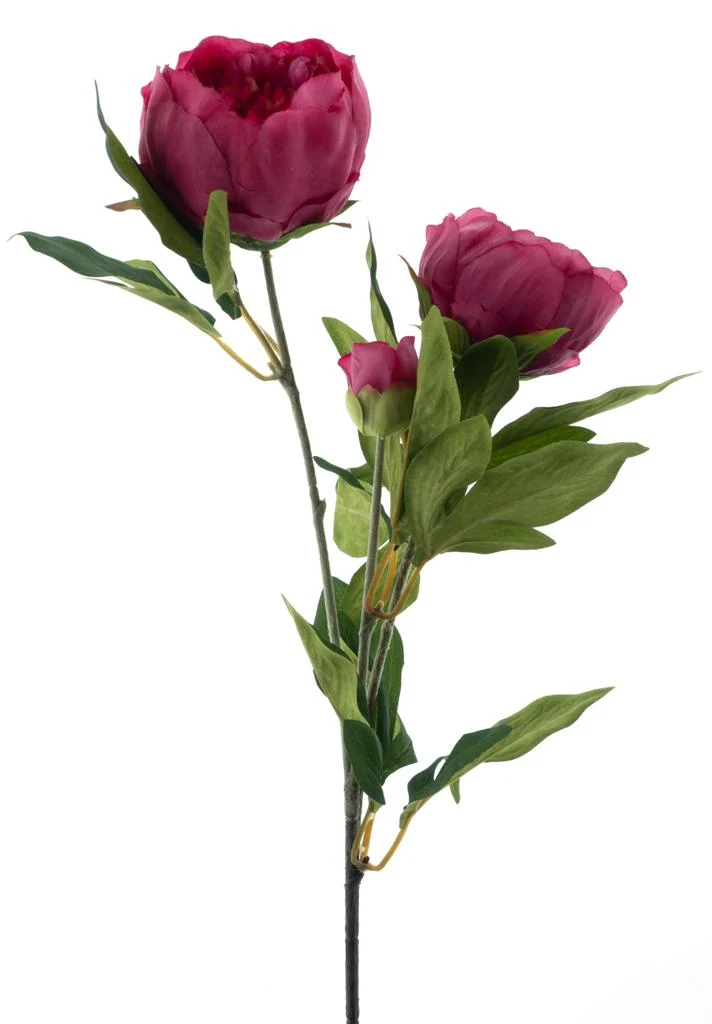 Paeony spray Chiba fuchsia 65cm
