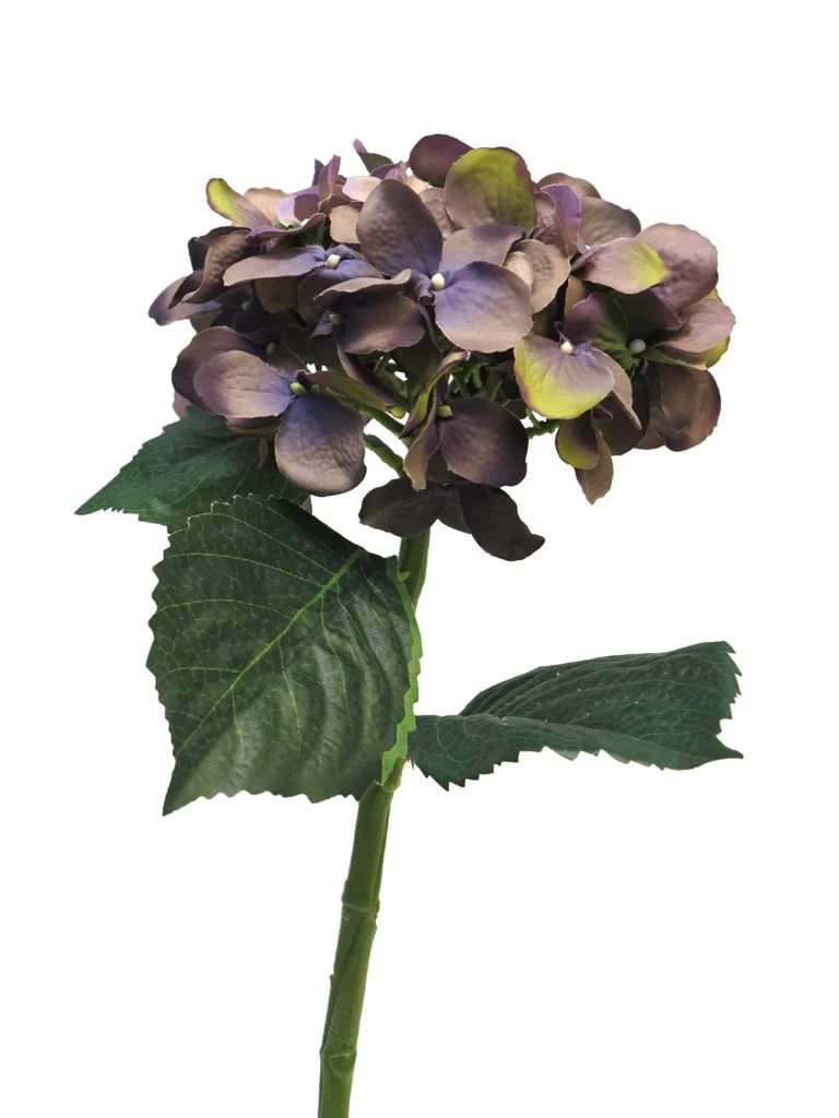 Hydrangea Artist lavender 48cm