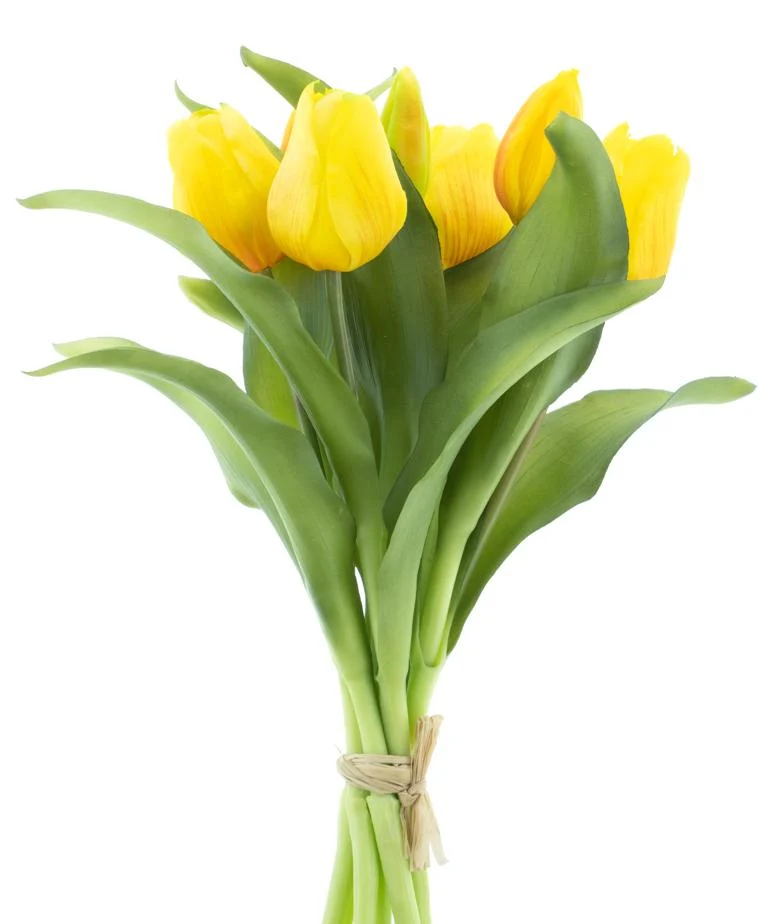 Real Touch Vermeer tulip bundle Sally X7 yellow 31cm