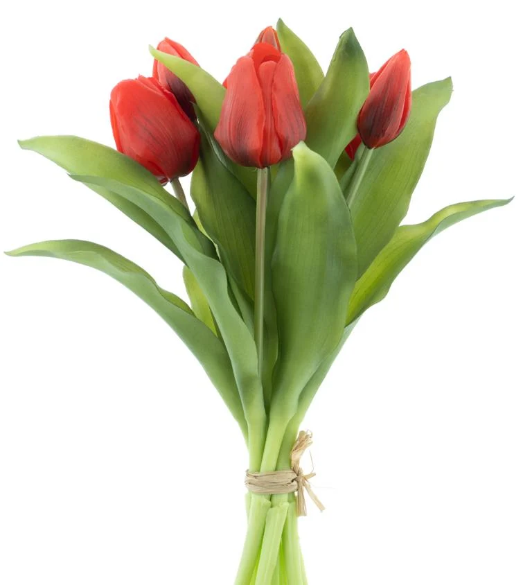 Real Touch Vermeer tulip bundle Sally X7 red 31cm