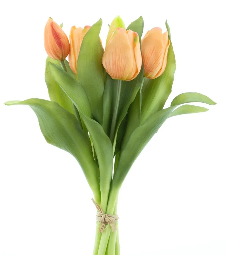 Real Touch Vermeer tulip bundle Sally X7 peach 31cm