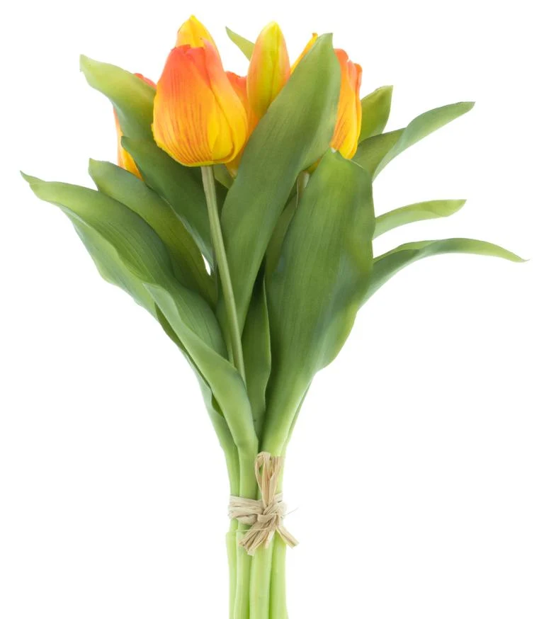 Real Touch Vermeer tulip bundle Sally X7 orange 31cm