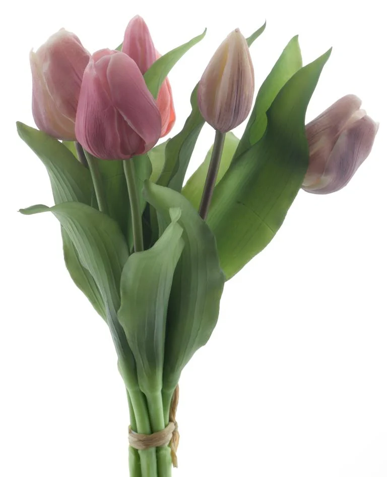 Real Touch Vermeer tulip bundle Sally X7 new mauve/pink combo 31cm