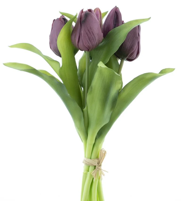Real Touch Vermeer tulip bundle Sally X7 aubergine 31cm