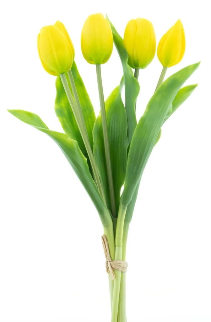 Real Touch Holland Tulip bundle Sally X5 yellow 36cm